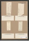 Pleurosigma tenuissimum W.Sm. (de-Toni-Nr.: Genus 13, Species 1091) Zeichnungen Sammlung Grunow Nr. 2123 (NHMW-BOT-W0369157)